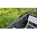 straatview vanaf balkon