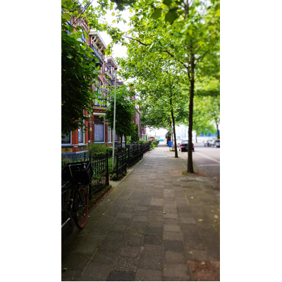Straatview Stay A While Zwolle